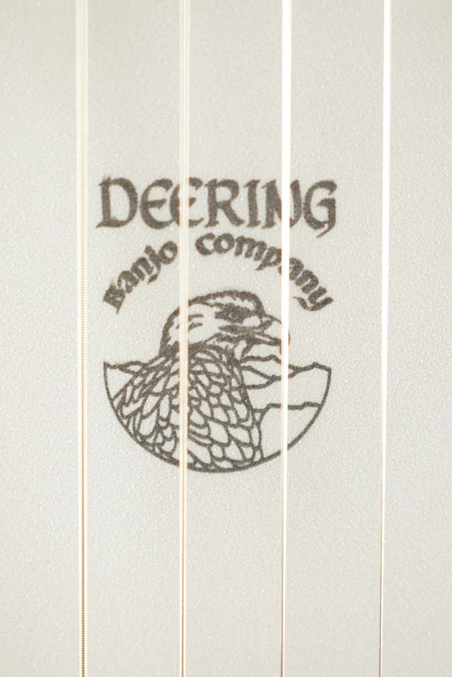 Deering Boston 6-String Banjo