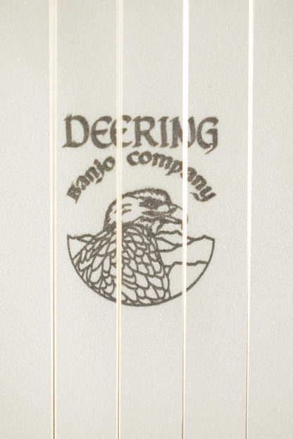 Deering Boston 6-String Banjo