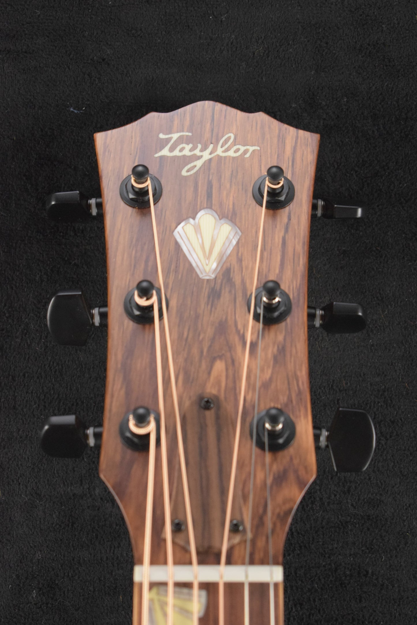 Taylor Gold Label Catch #16 C24e B6016 Super Auditorium Ribbon Mahogany/Ribbon Mahogany