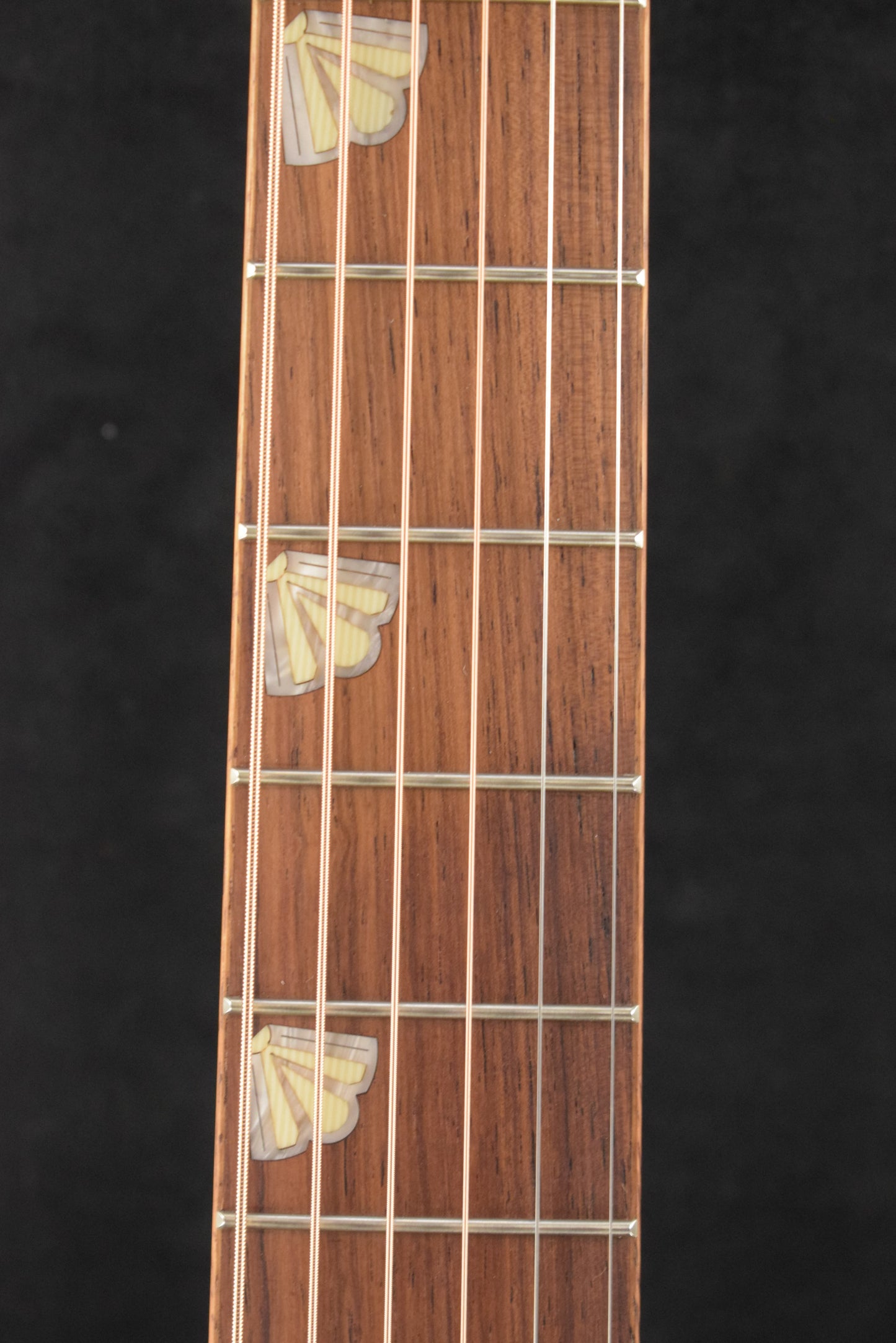 Taylor Gold Label Catch #16 C24e B6016 Super Auditorium Ribbon Mahogany/Ribbon Mahogany