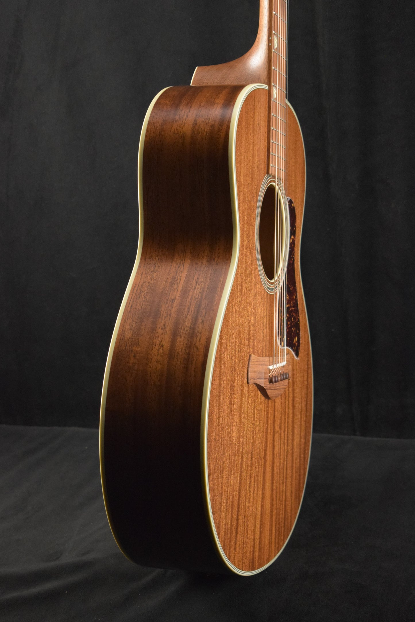 Taylor Gold Label Catch #16 C24e B6016 Super Auditorium Ribbon Mahogany/Ribbon Mahogany