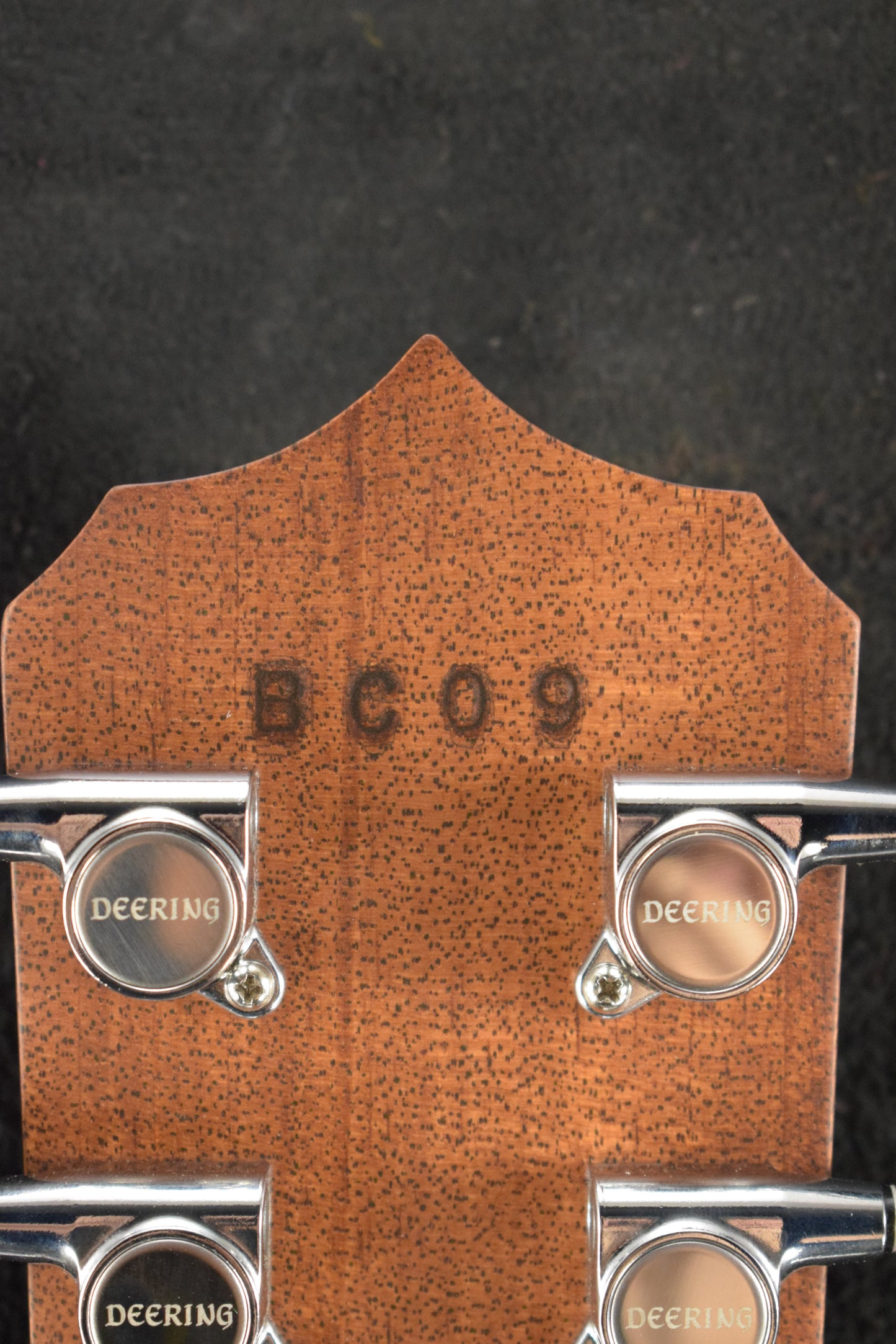 Deering Boston 6-String Banjo