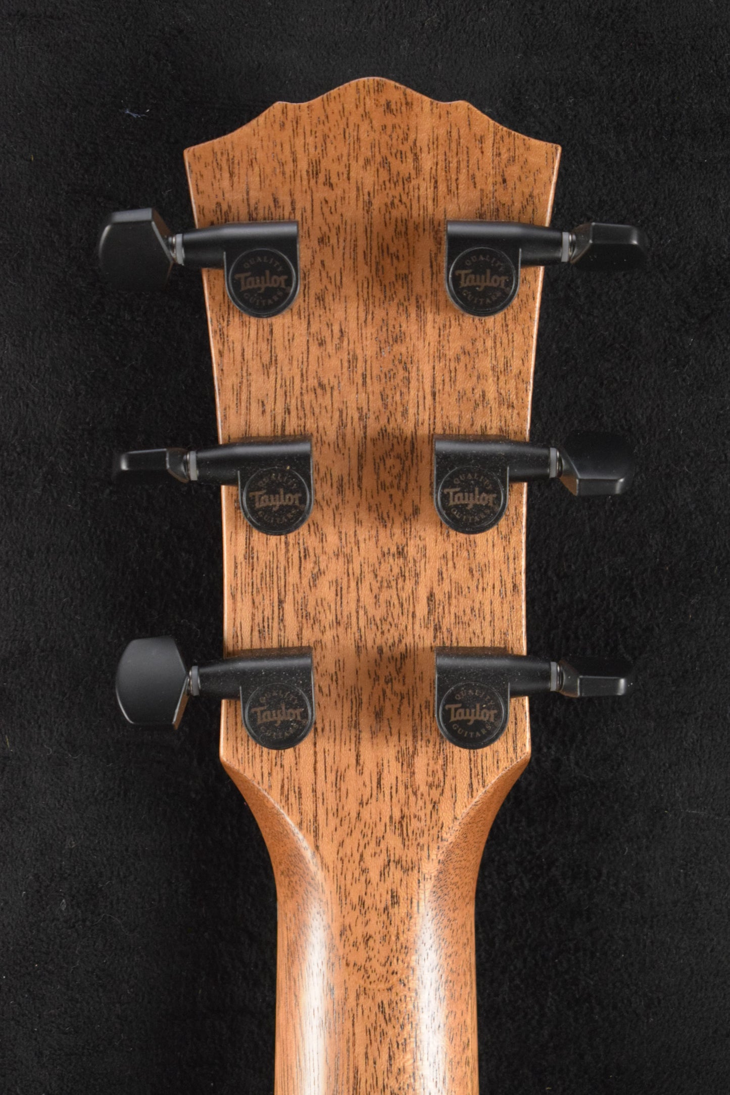 Taylor Gold Label Catch #16 C24e B6016 Super Auditorium Ribbon Mahogany/Ribbon Mahogany