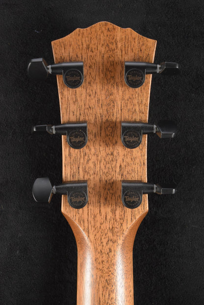 Taylor Gold Label Catch #16 C24e B6016 Super Auditorium Ribbon Mahogany/Ribbon Mahogany