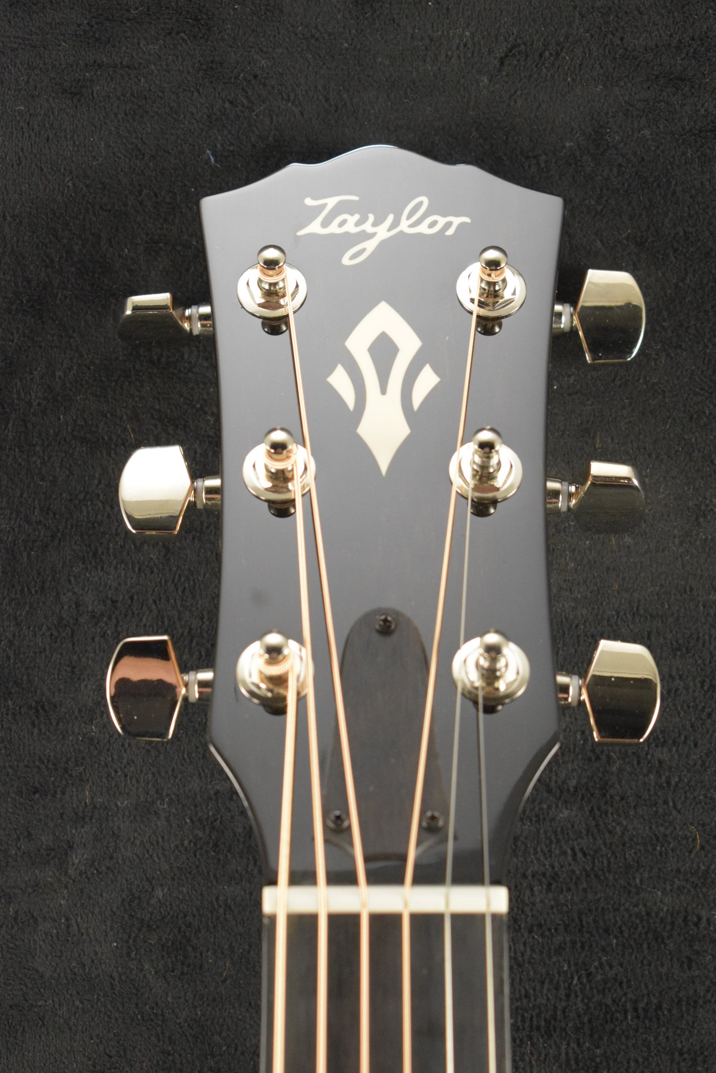 Taylor Gold Label 717e SB Sunburst w/Firestripe Pickguard