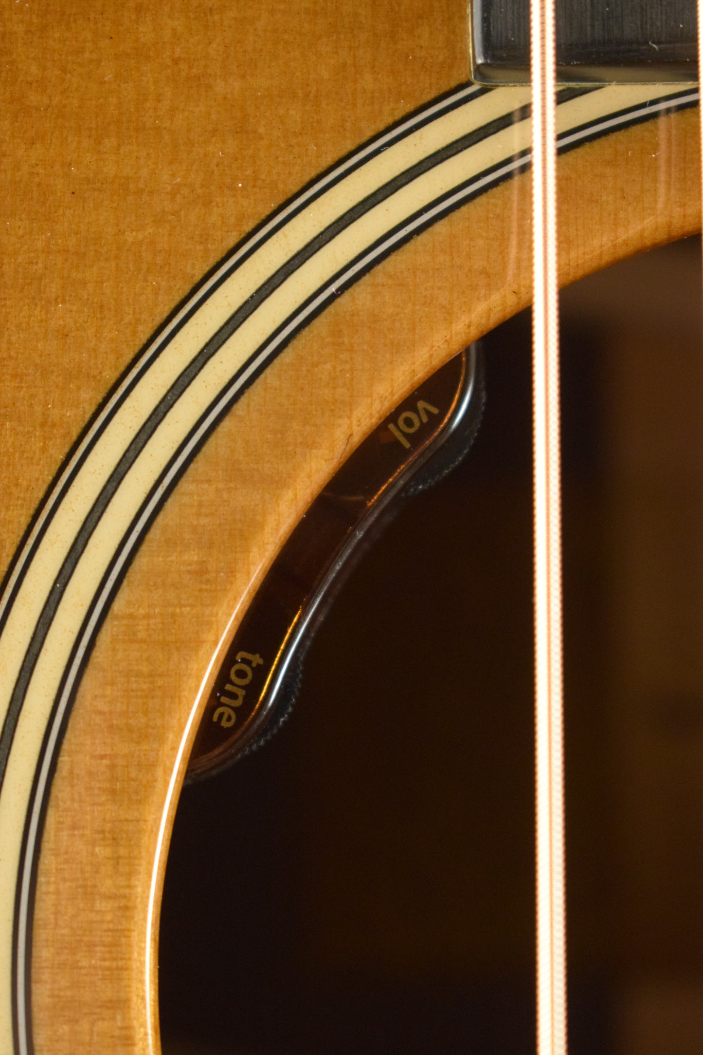 Taylor Gold Label 717e SB Sunburst w/Firestripe Pickguard