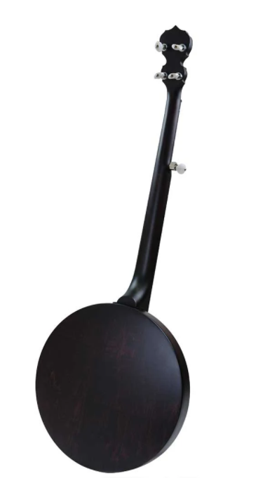 Deering Artisan Goodtime Special 5-String Banjo with Resonator