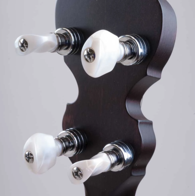 Deering Artisan Goodtime Special 5-String Banjo with Resonator