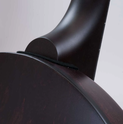 Deering Artisan Goodtime Special 5-String Banjo with Resonator