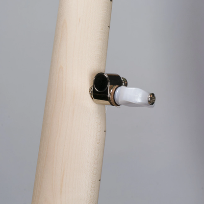 Deering Goodtime Special 5-String Banjo with Resonator