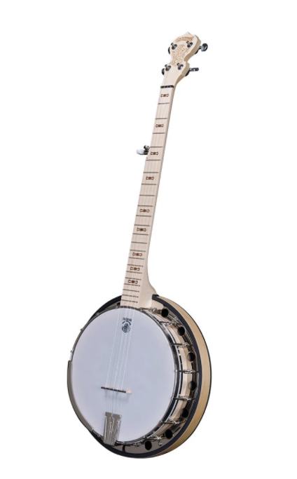 Deering Goodtime Special 5-String Banjo with Resonator