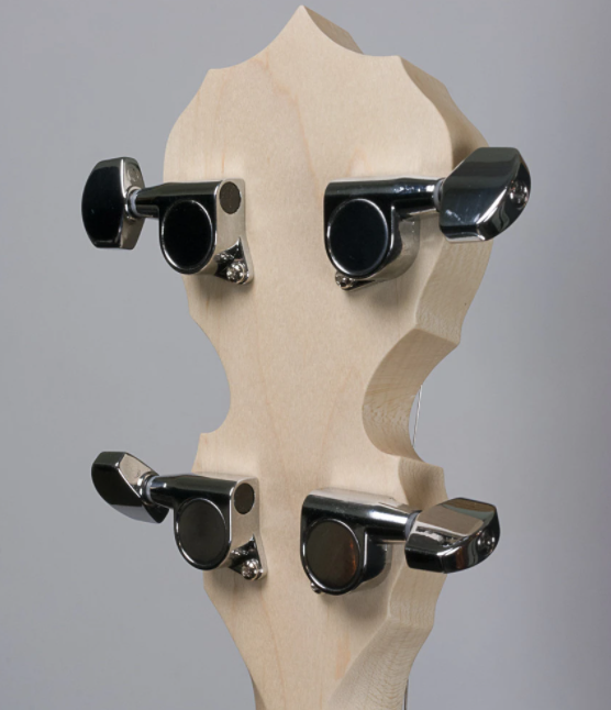 Deering Goodtime Special 5-String Banjo with Resonator