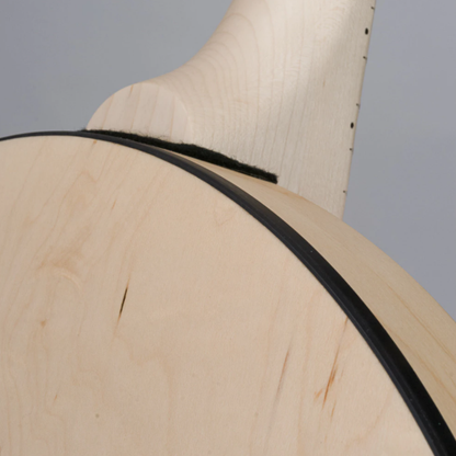 Deering Goodtime Special 5-String Banjo with Resonator