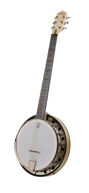 Deering Goodtime Six-R 6-String Banjo with Resonator