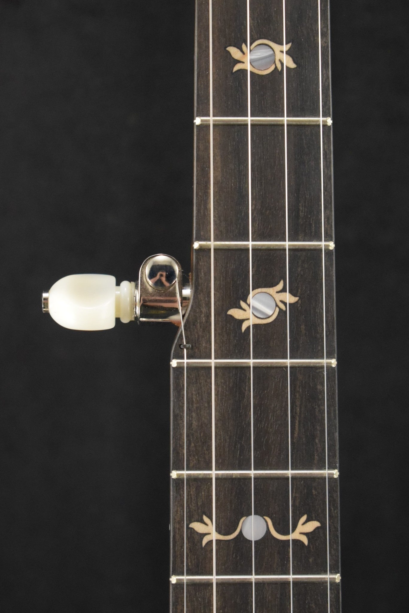 Deering Boston 5-String Mahogany Banjo