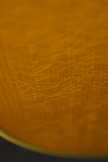 Martin Custom Shop Dreadnought Wild Grain East Indian Rosewood Adirondack Spruce VTS Natural