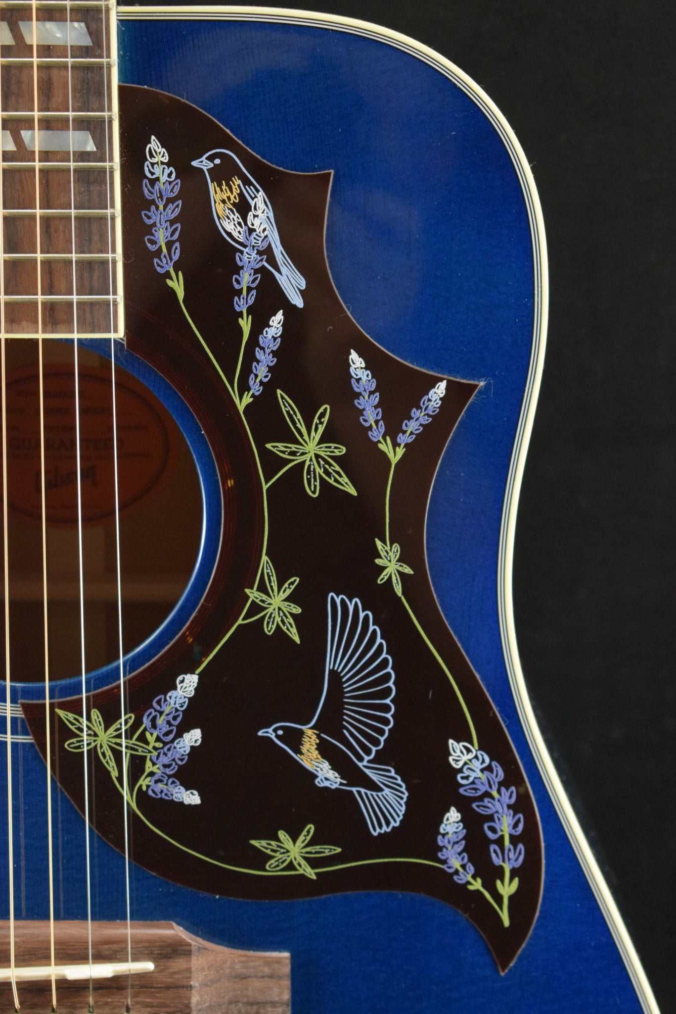 Gibson Miranda Lambert Bluebird Bluebonnet