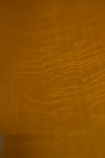 Martin Custom Shop Dreadnought Wild Grain East Indian Rosewood Adirondack Spruce VTS Natural