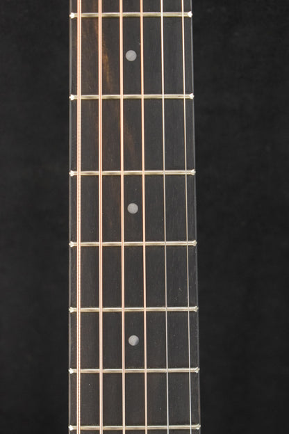 Taylor GS Mini-e Special Edition Paisley Burst