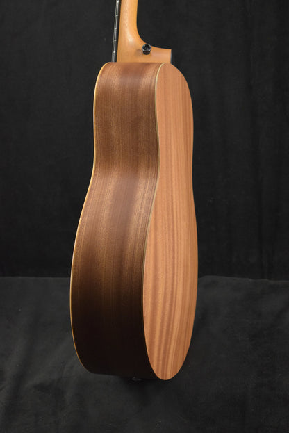 Taylor GS Mini-e Special Edition Paisley Burst