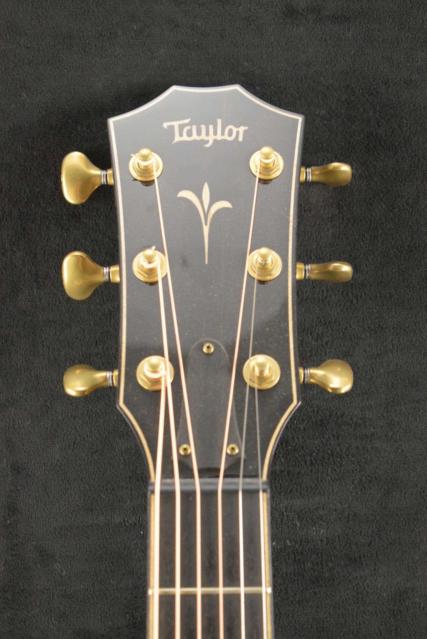 Taylor K22ce AA Top Shaded Edgeburst
