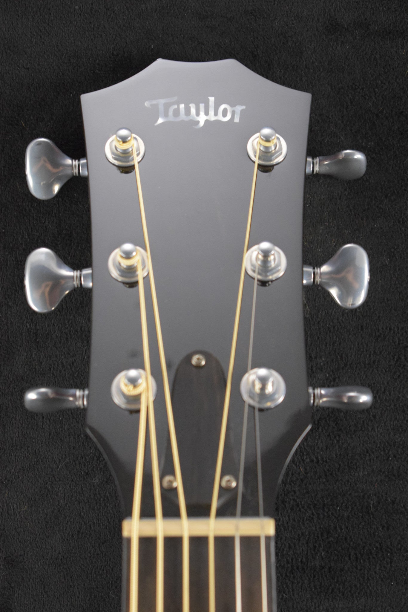 Taylor Custom GS Grand Symphony Cocobolo/Bearclaw Lutz Spruce 2020 NAMM Catch #26