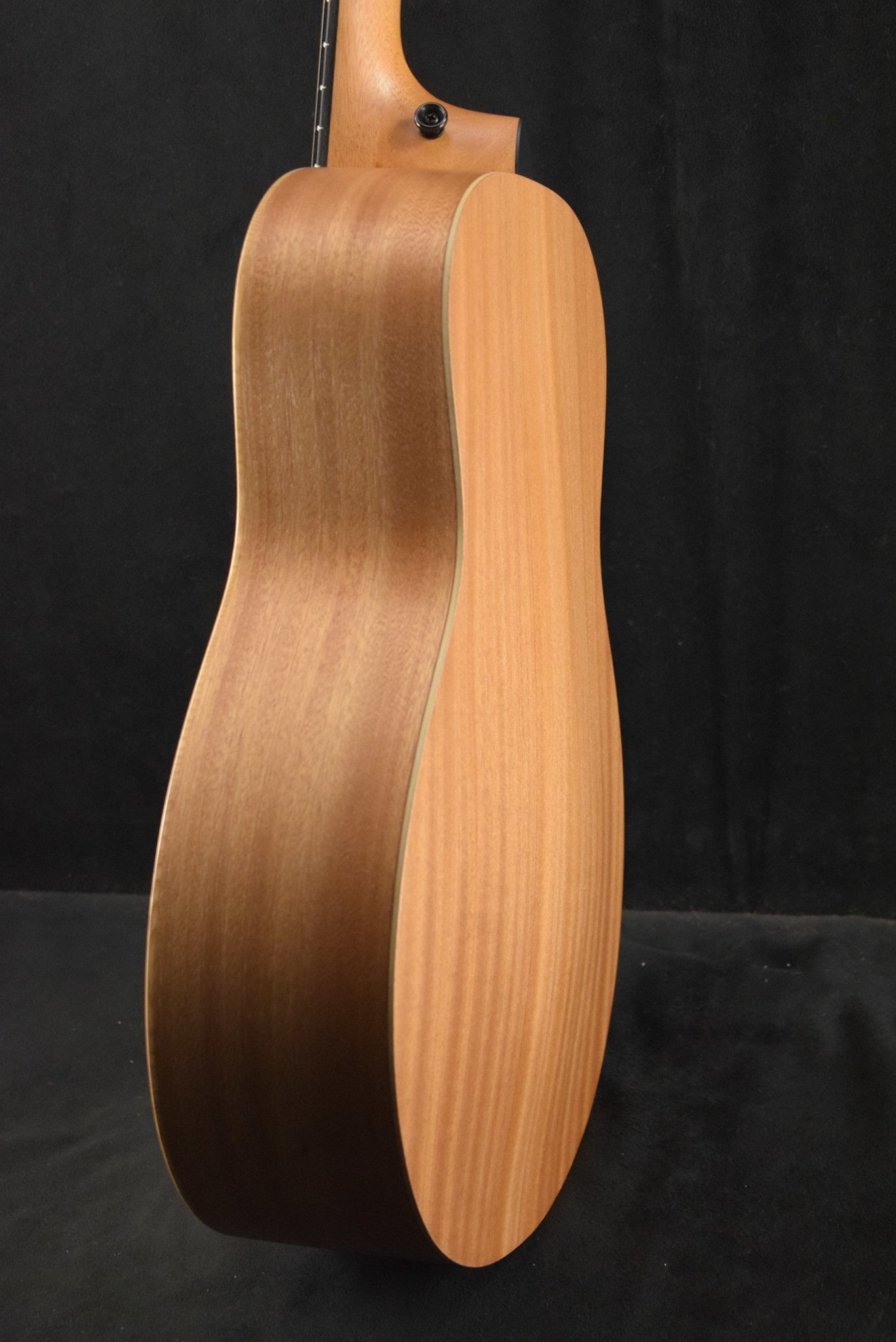 Taylor GS Mini Mahogany