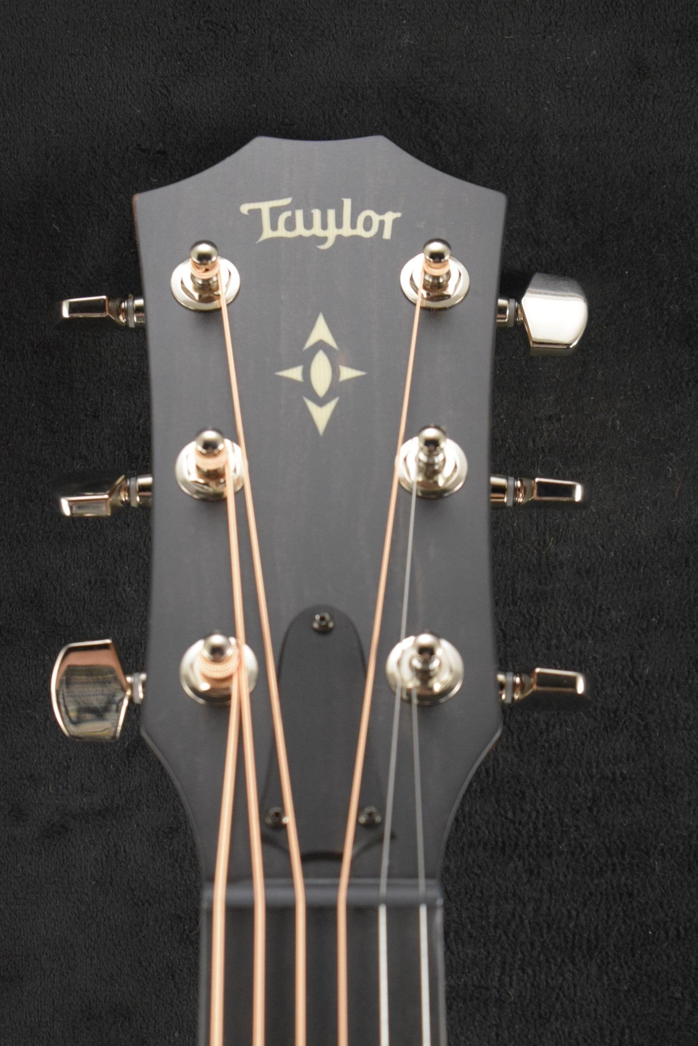 Taylor Builder's Edition 517e WHB Wild Honey Burst