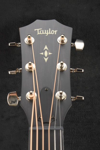 Taylor Builder's Edition 517e WHB Wild Honey Burst