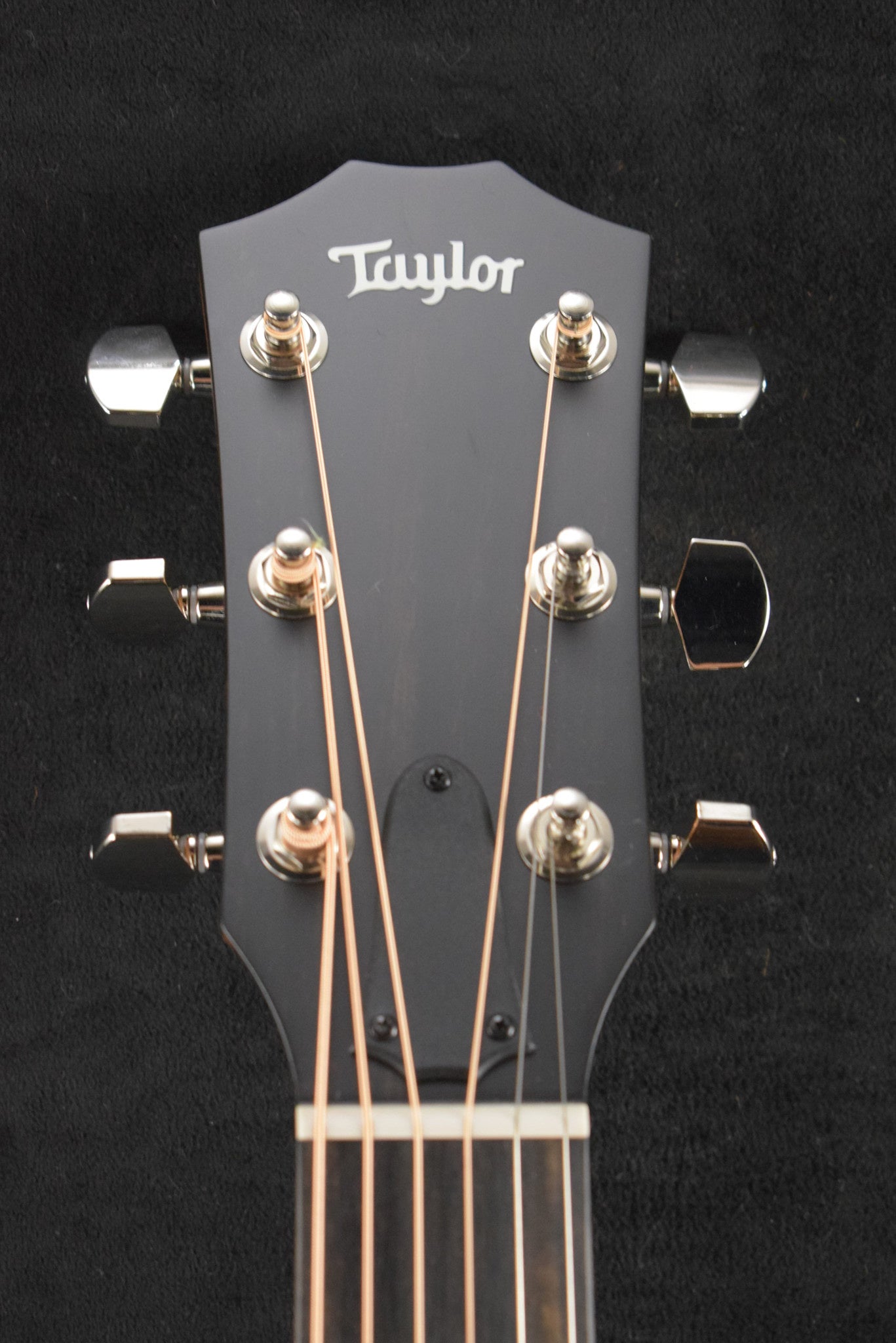 Taylor 414ce Studio Natural