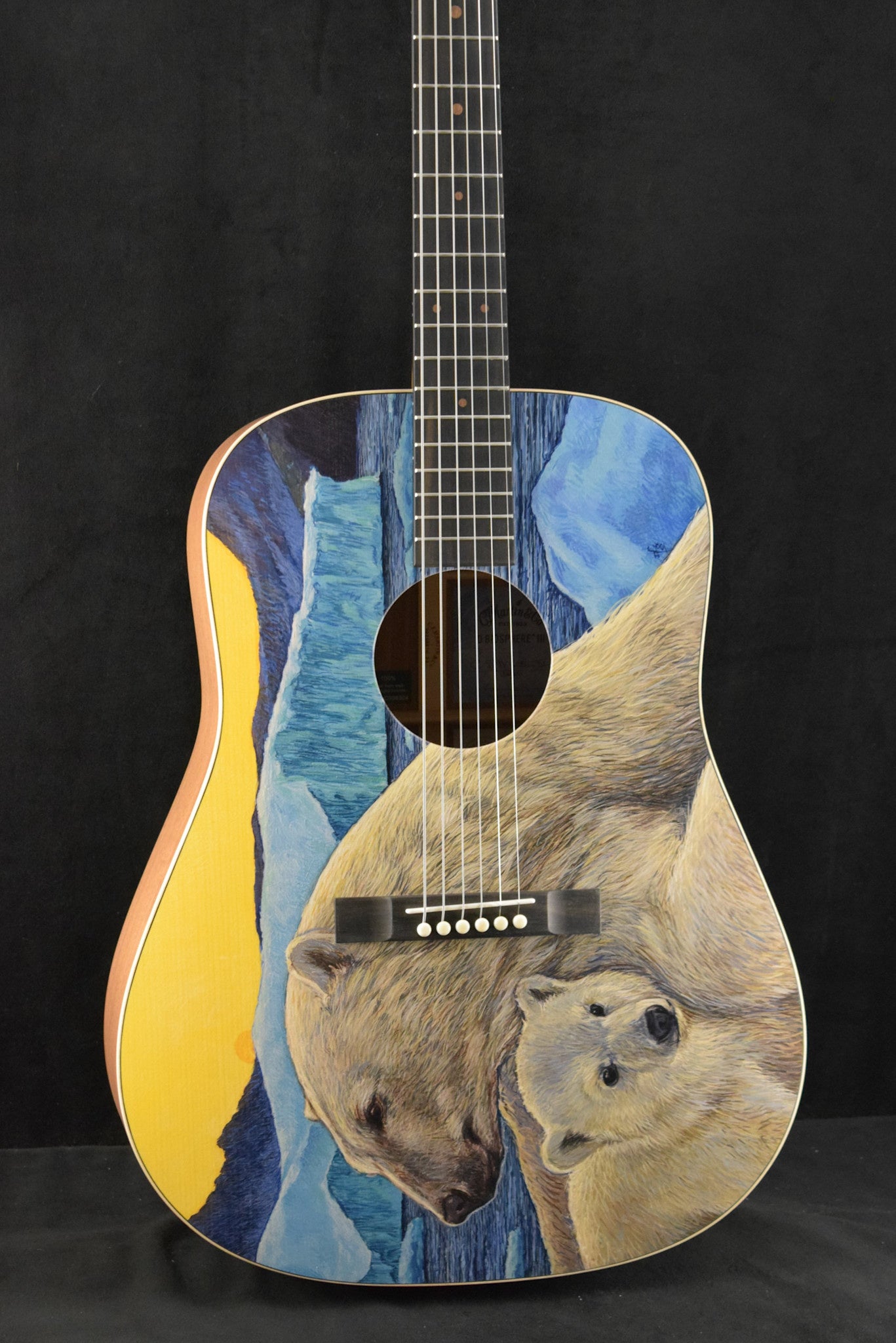 Martin D Biosphere® III Dreadnought Robert Goetzl Polar Bears