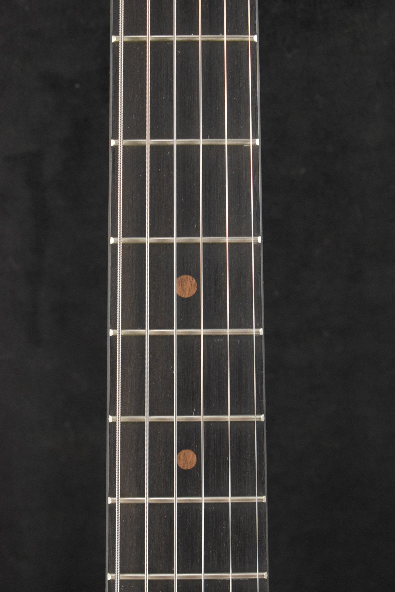 Martin D Biosphere® III Dreadnought Robert Goetzl Polar Bears