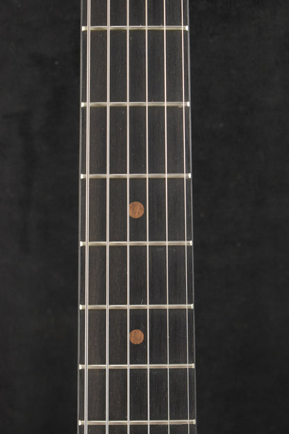 Martin D Biosphere® III Dreadnought Robert Goetzl Polar Bears