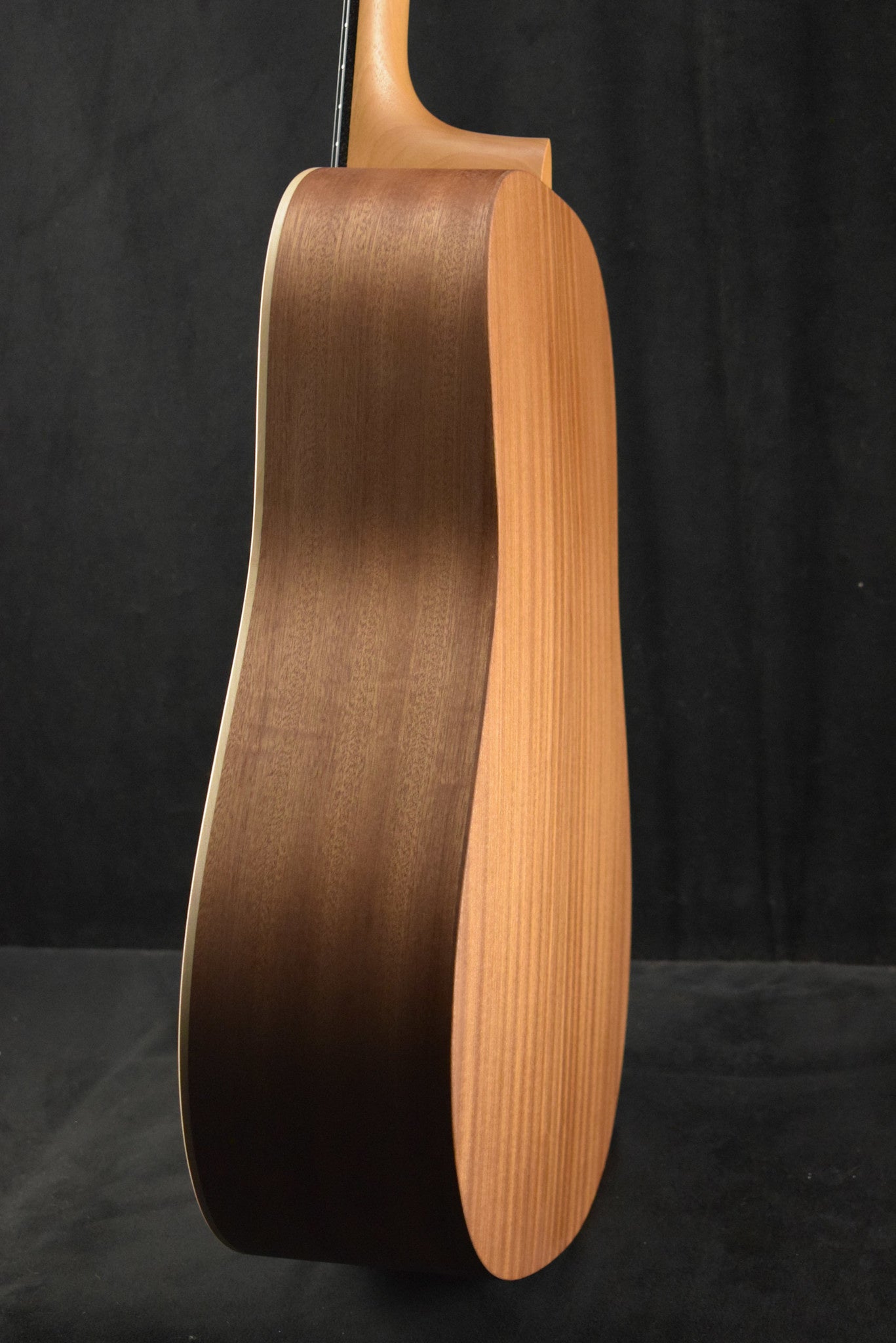 Martin D Biosphere® III Dreadnought Robert Goetzl Polar Bears