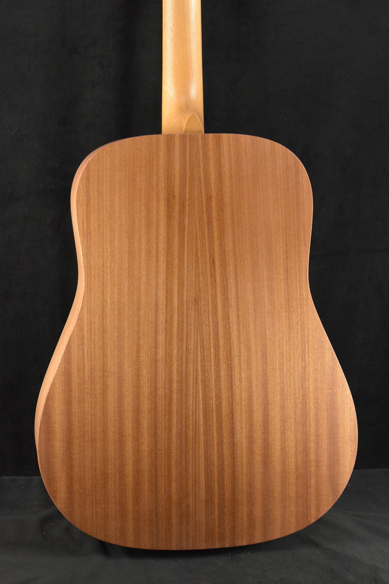 Martin D Biosphere® III Dreadnought Robert Goetzl Polar Bears