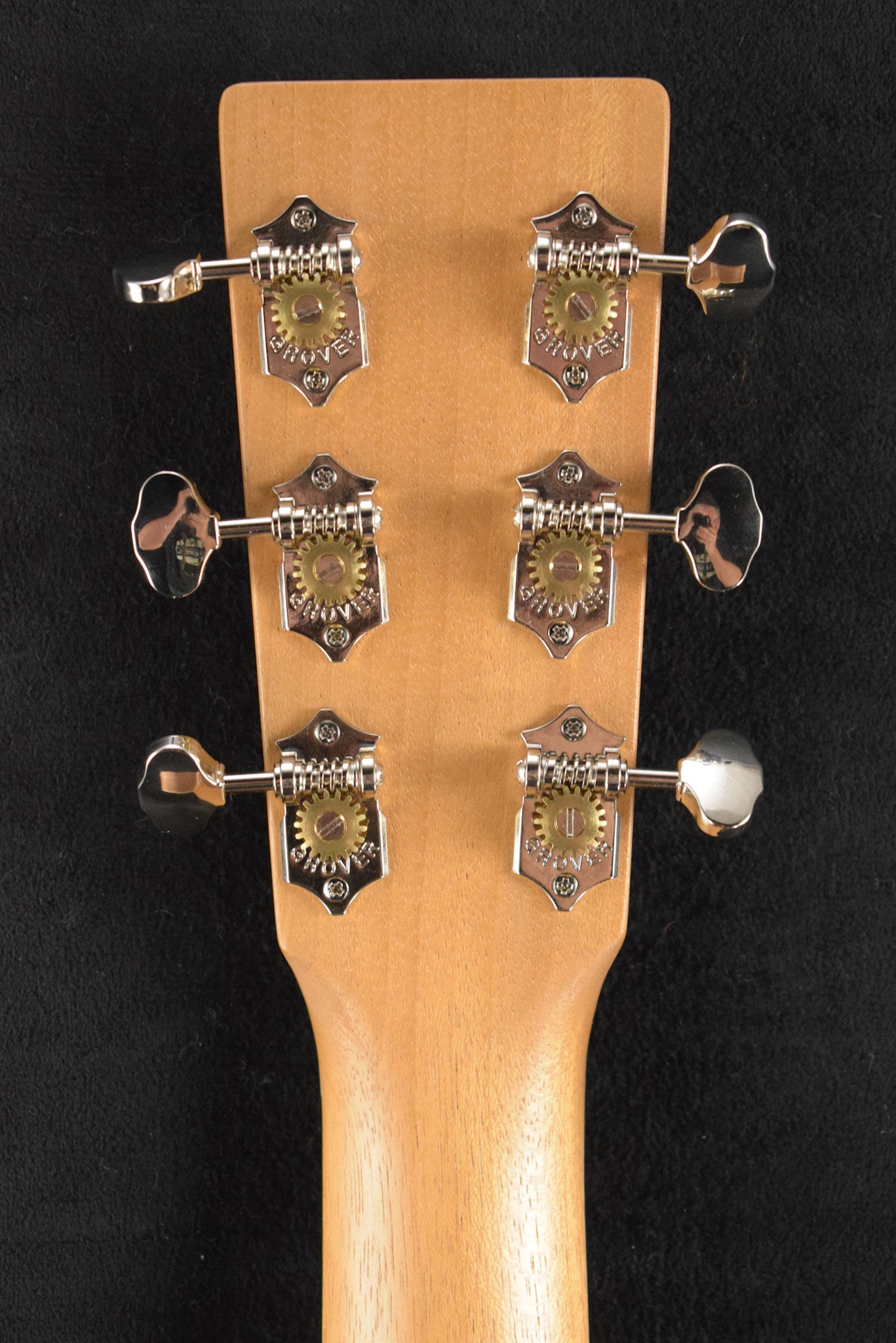 Martin D Biosphere® III Dreadnought Robert Goetzl Polar Bears