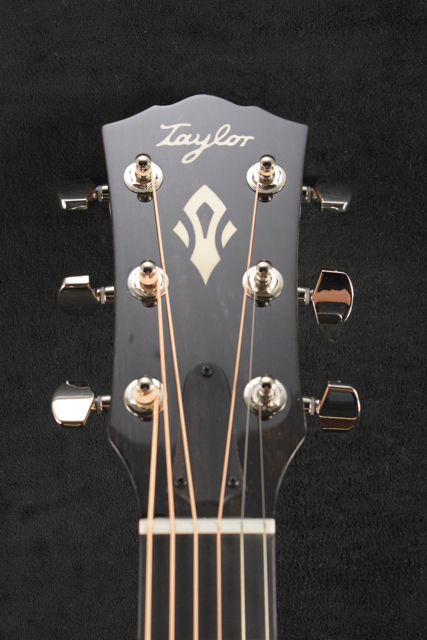 Taylor Gold Label 717e Natural