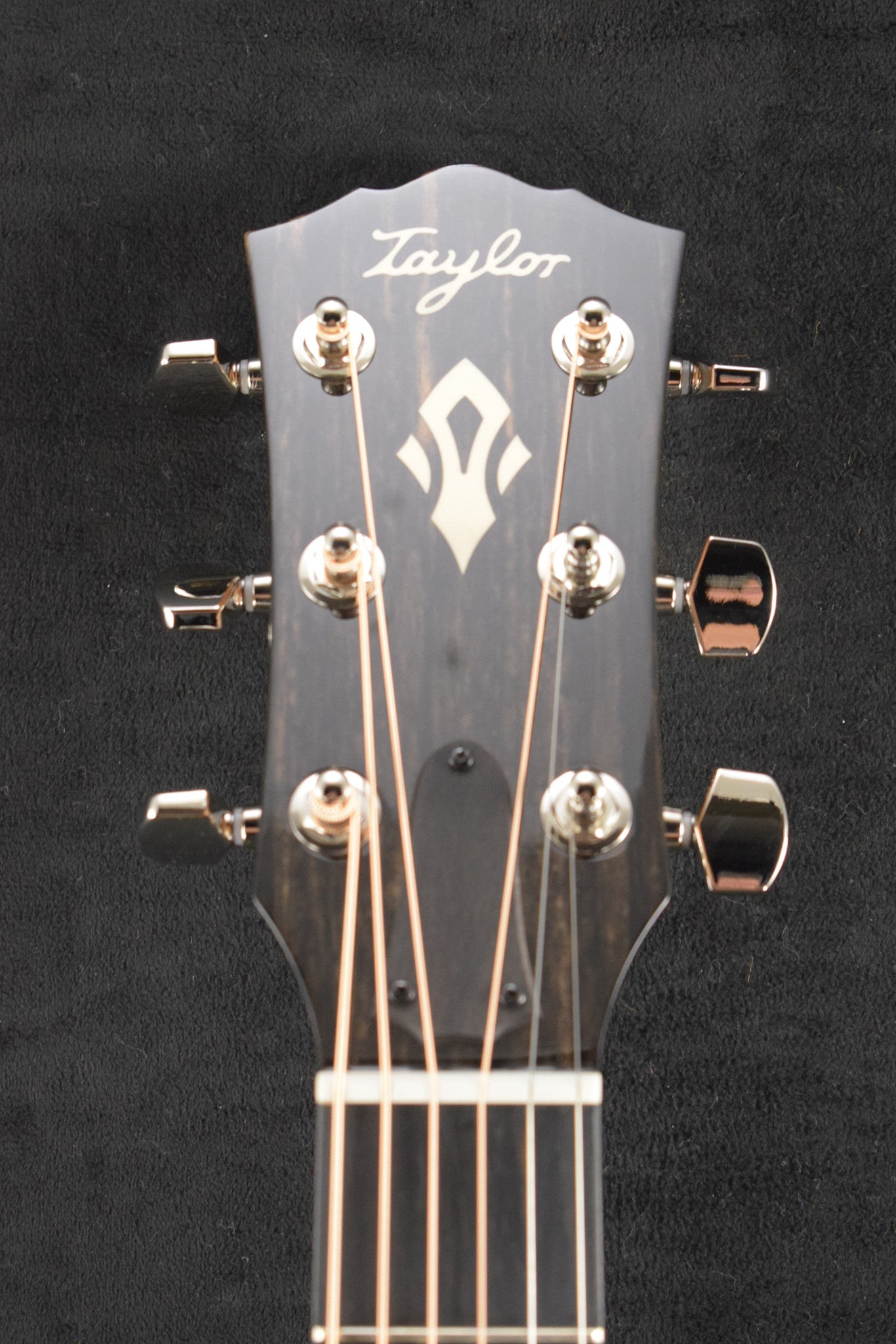 Taylor Gold Label 717e Blacktop