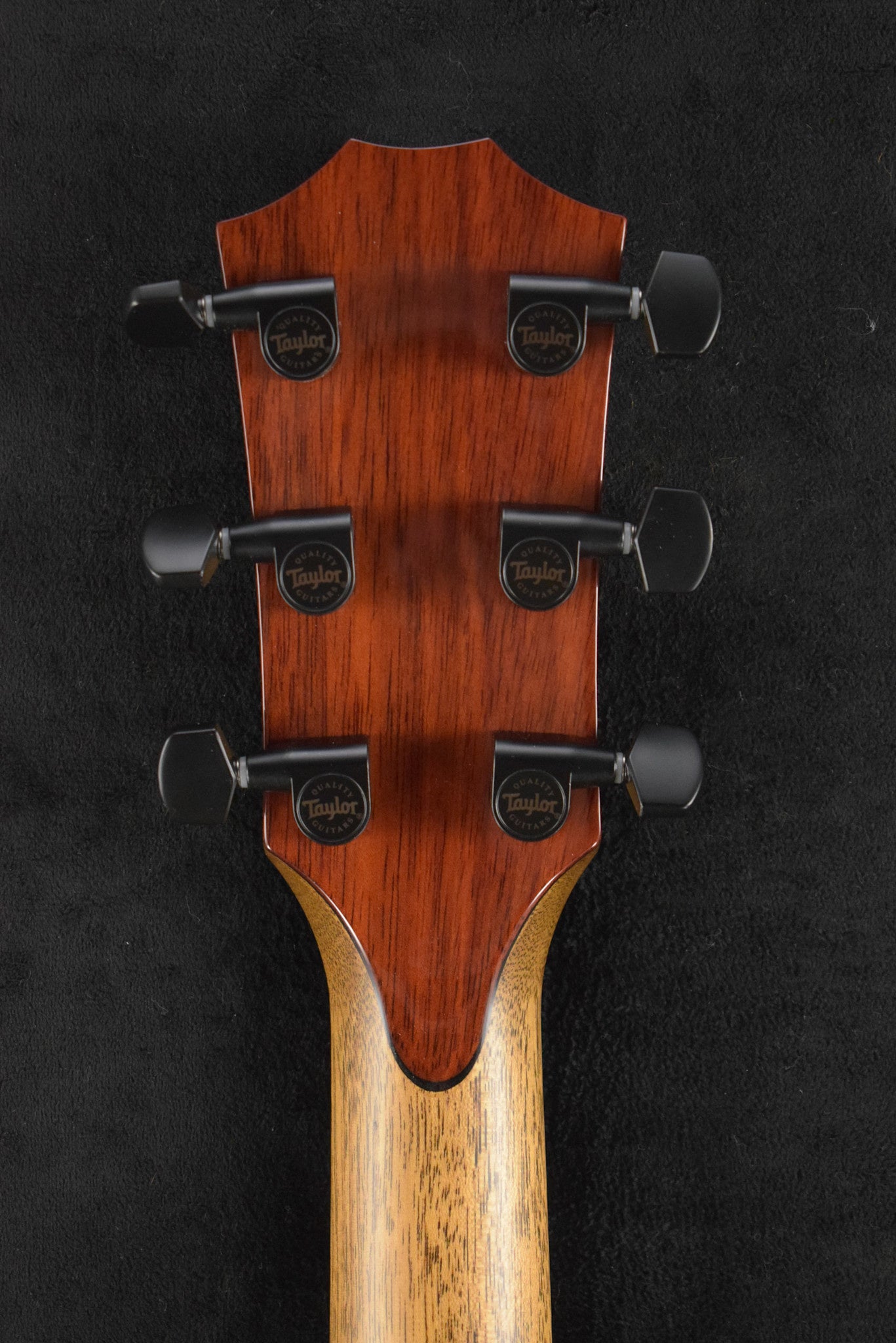 Taylor NAMM Custom #6 C14ce B5006 Grand Auditorium Bearclaw Sitka Spruce/Blackheart Sassafras