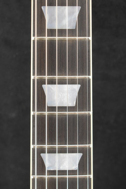 Gibson Adam Jones Les Paul Standard Antique Silverburst