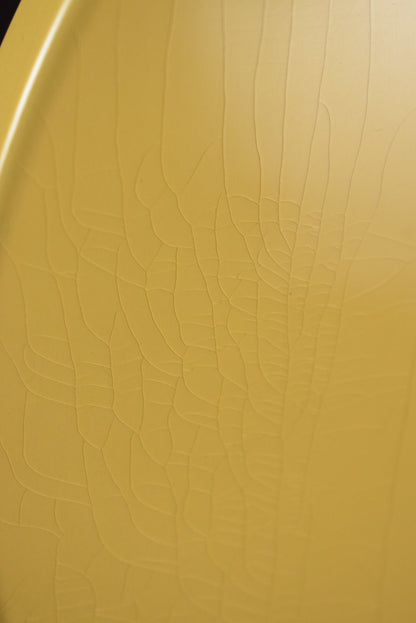 Collings 290 TV Yellow Aged Finish and Hardware