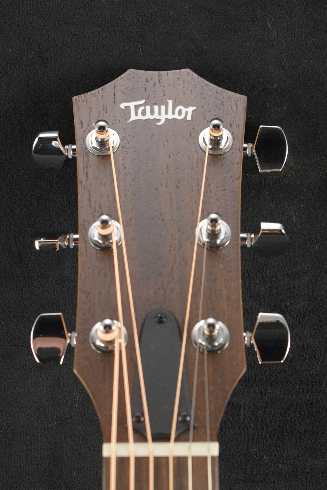 Taylor Academy 10e LTD Figured Koa/Torrefied Spruce Natural Satin