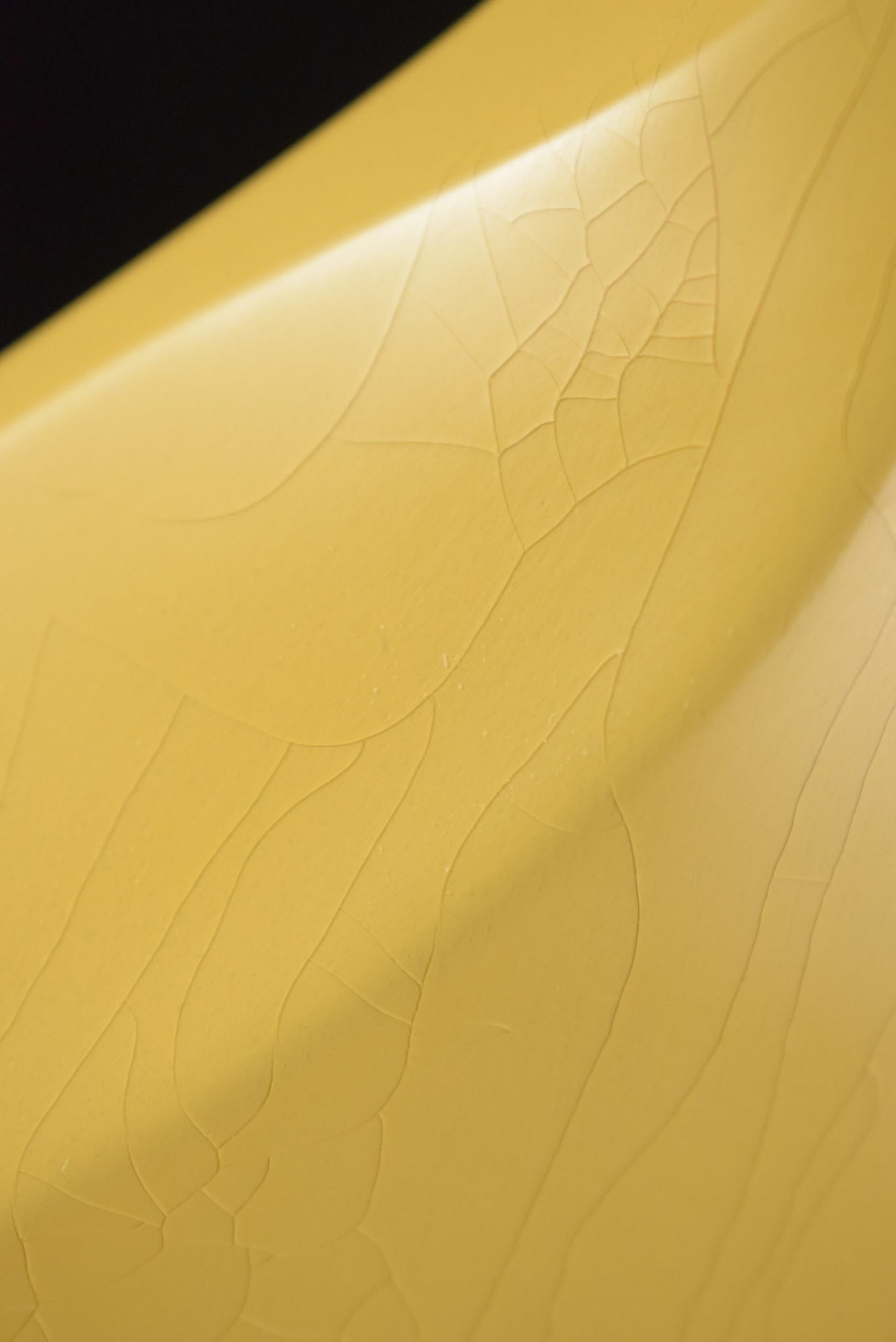 Collings 290 TV Yellow Aged Finish and Hardware