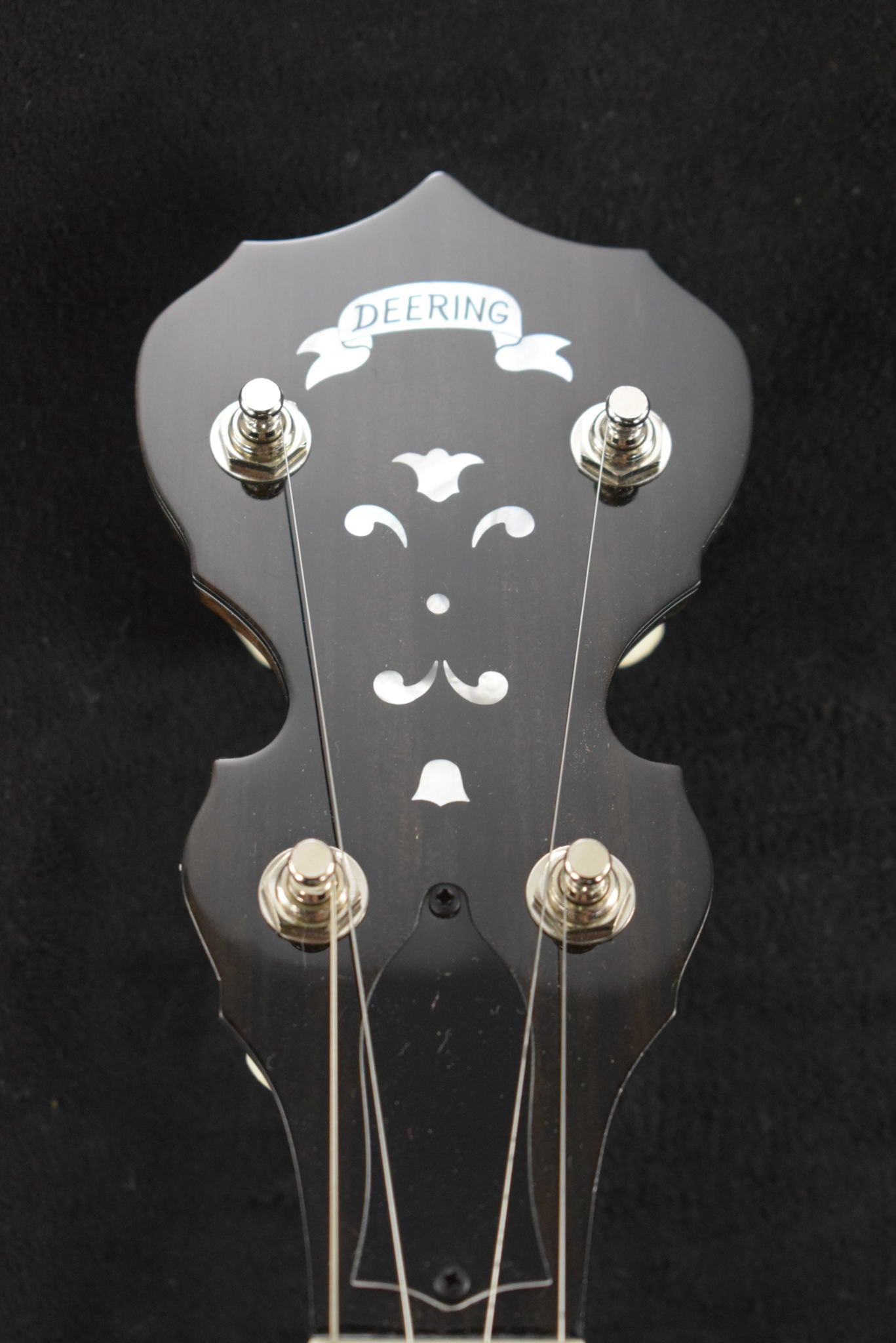 Deering Maple Blossom 5-String Banjo