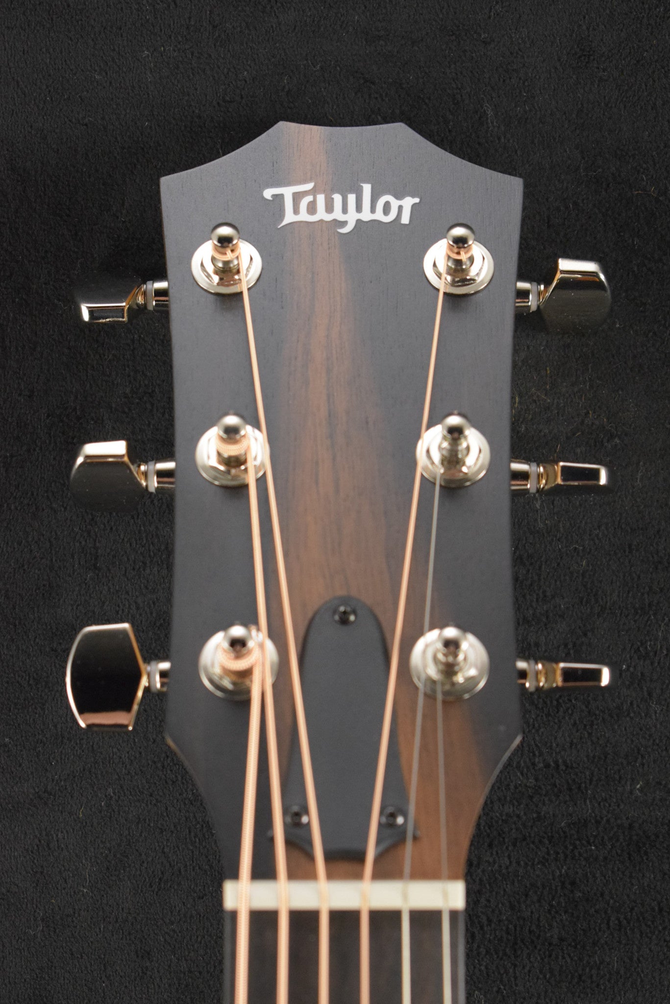 Taylor 214ce Plus Natural Gloss