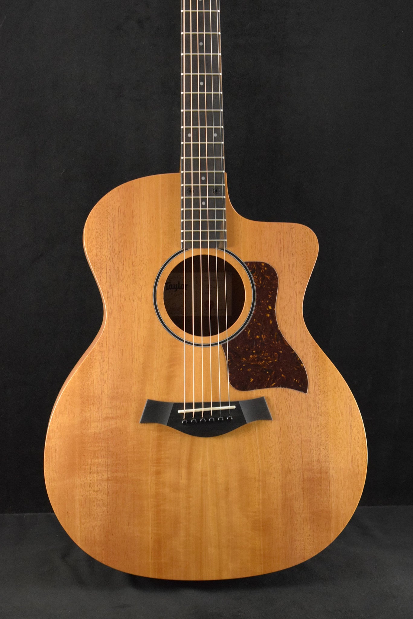 Taylor 24ce Mahogany Top Natural