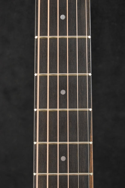 Taylor 24ce Mahogany Top Natural
