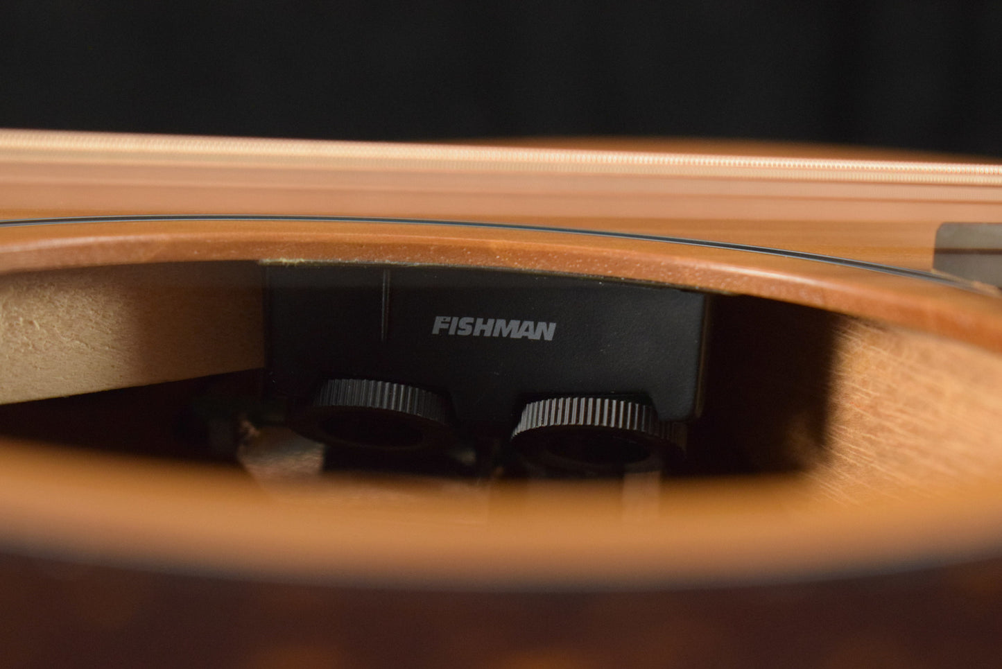 Taylor 24ce Mahogany Top Natural