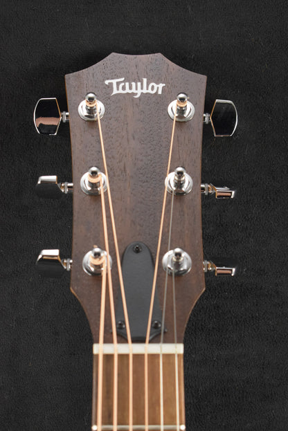 Taylor Academy 10e Dreadnought Walnut/Torrefied Spruce Natural