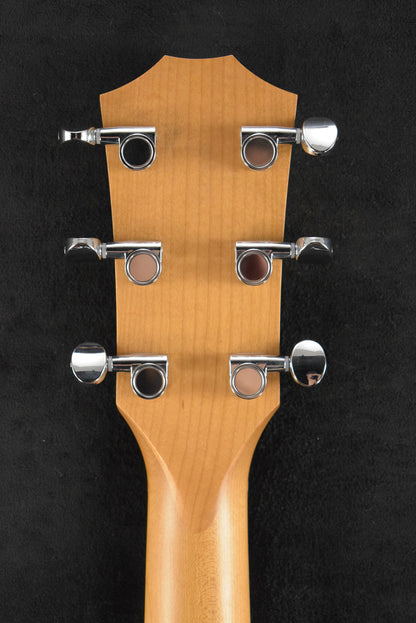 Taylor 24ce Mahogany Top Natural